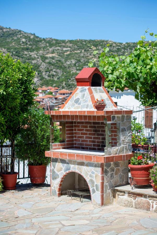 Thodoros Apartment Sykia Chalkidikis Exterior photo